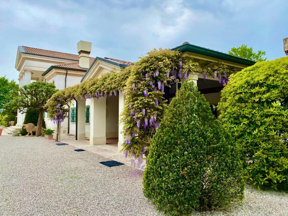 Villa Gerla, Un Angolo Di Paradiso Vicino Padova E Venezia Buitenkant foto